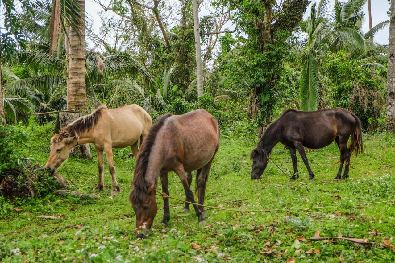 Recidencia Del Hamor Sorsogon Екстер'єр фото