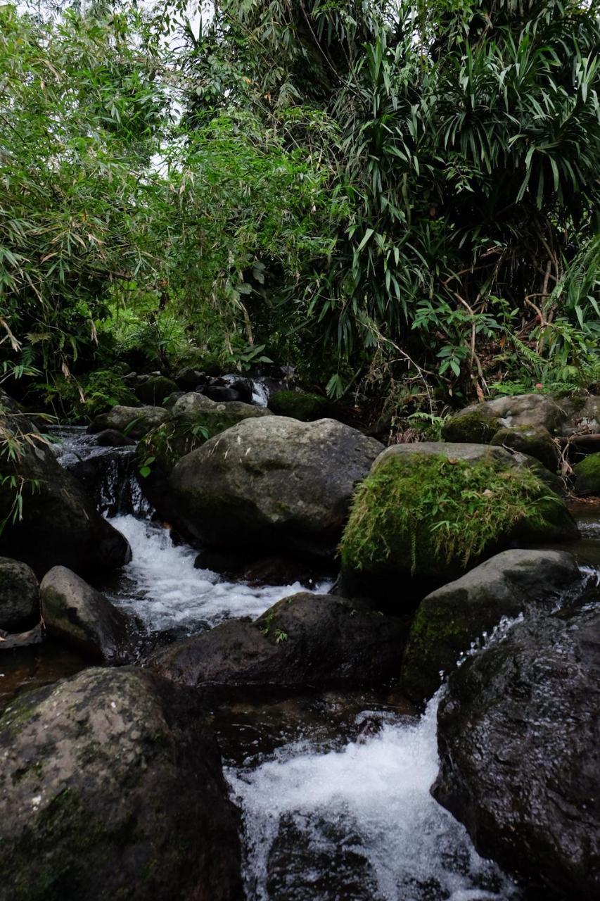 Recidencia Del Hamor Sorsogon Екстер'єр фото